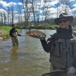 asheville rainbow trout fishing