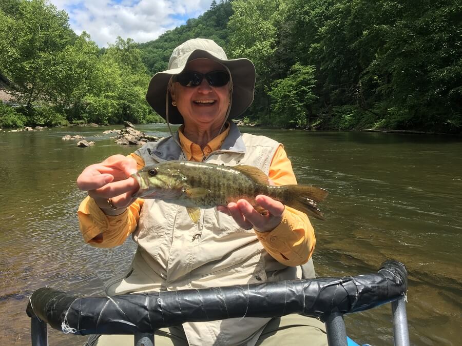 asheville smallmouth fishing