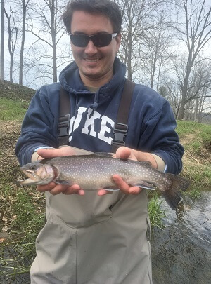 big brook trout fly fishing asheville