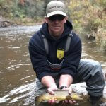 brown trout fly fishing