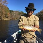 brown trout in western north carolina