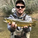 brown trout wade trips nc