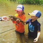 fly fishing trout in asheville