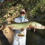 musky fishing guide asheville nc and western north carolina