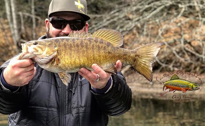 smallmouth bass guided trips