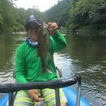 smallmouth fly fishing guide asheville