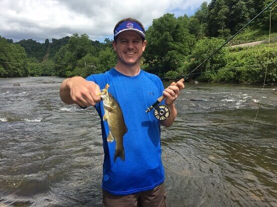 smallmouth on the fly asheville