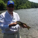 smallmouth river asheville