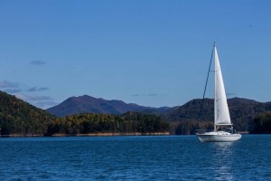 watauga lake fishing guides