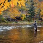 asheville fly fishing guide lessons