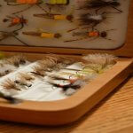 Asheville fly fishing hatch chart