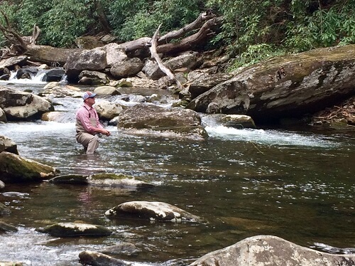 pêche à la mouche en eau sauvage à asheville