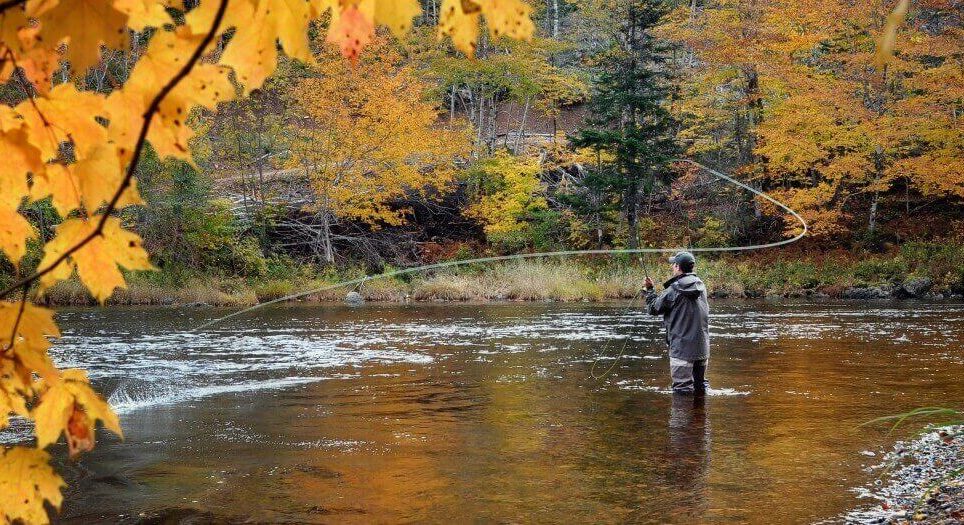 asheville fly fishing guide
