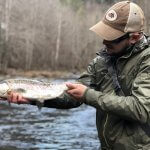 big rainbow trout