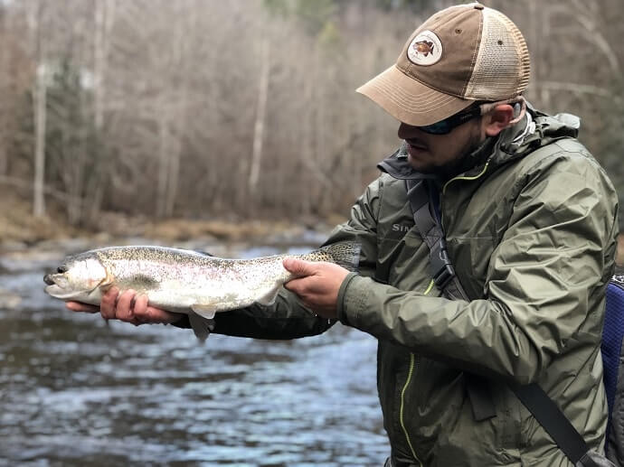 big rainbow trout