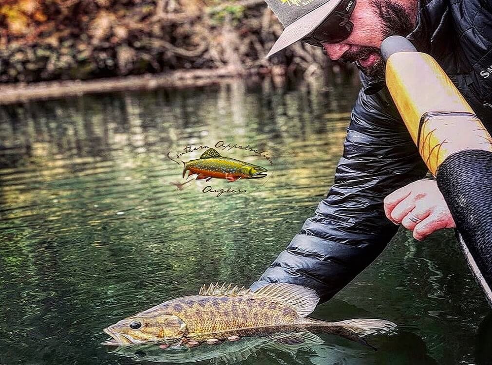 smallmouth bass fishing north carolina - Southern Appalachian Anglers