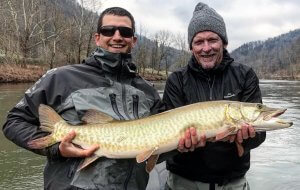 musky mile in brevard nc