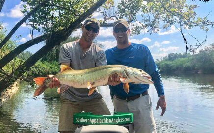 musky fishing trips asheville