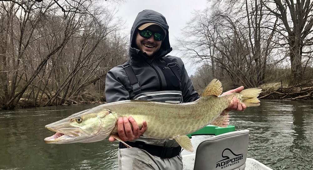musky in the french broad river-min