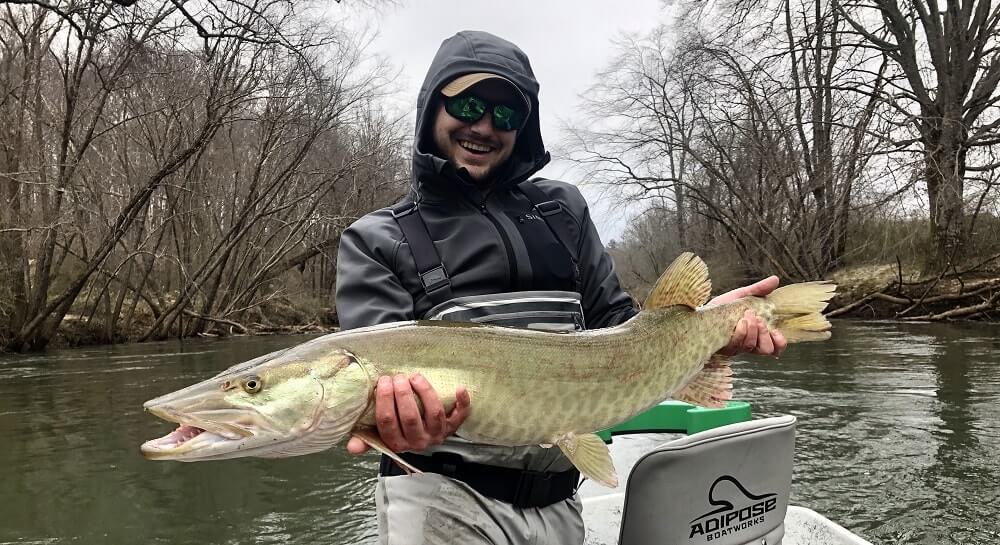 Musky Fishing Guide, Muskie Fishing Trips In Asheville