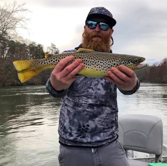 asheville brown trout fly fishing