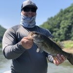 how to catch smallmouth in the french broad