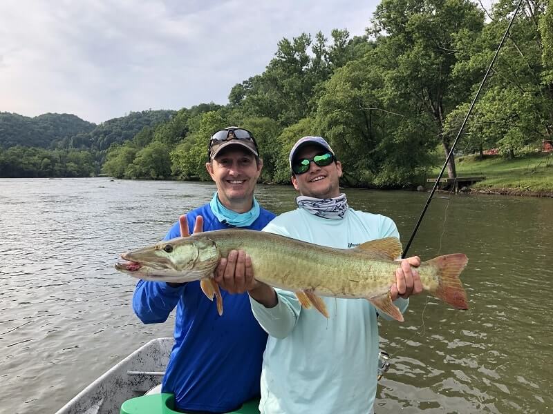 Musky Fishing Around Asheville Musky Fishing Around Asheville