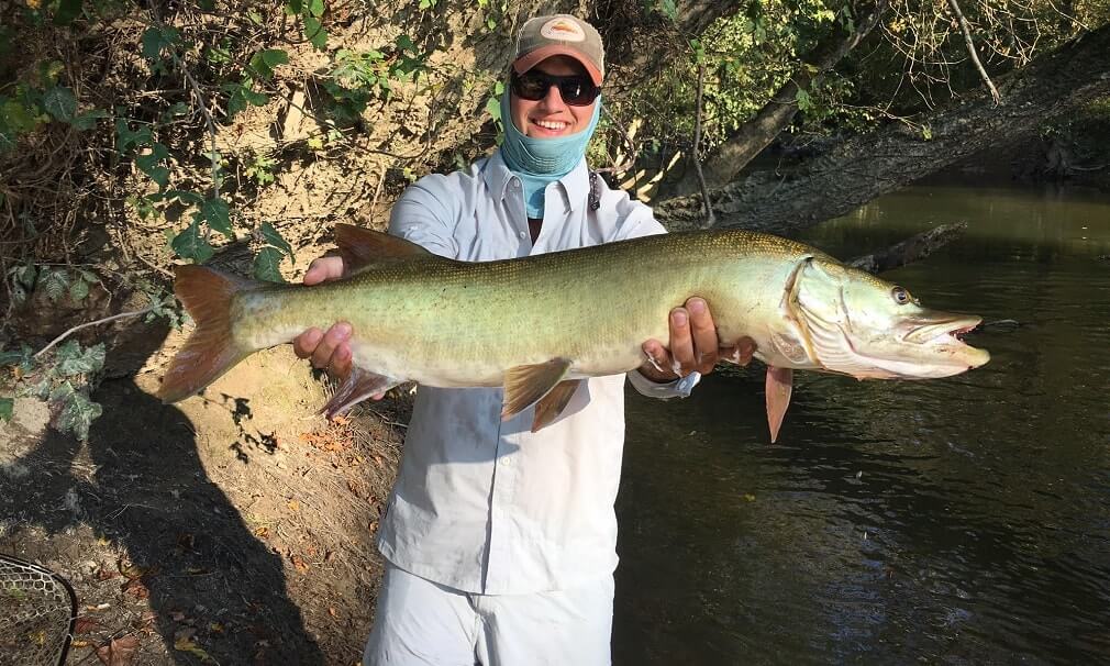 musky fishing guides in asheville musky fishing guides in asheville