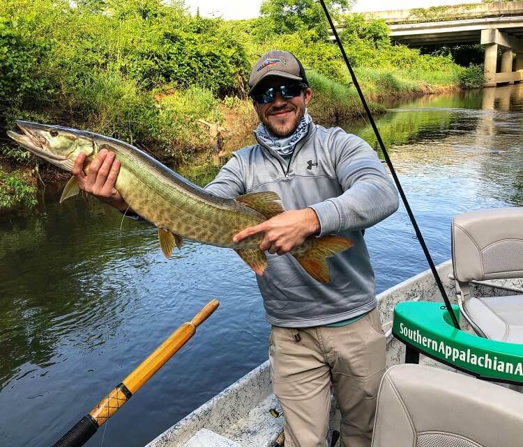 musky fishing in brevard nc