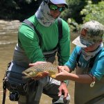 north toe trout fishing