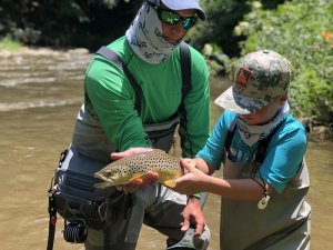 north toe trout fishing