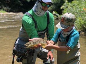 North Toe River - Southern Appalachian Anglers