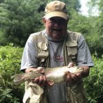 rainbow trout asheville nc