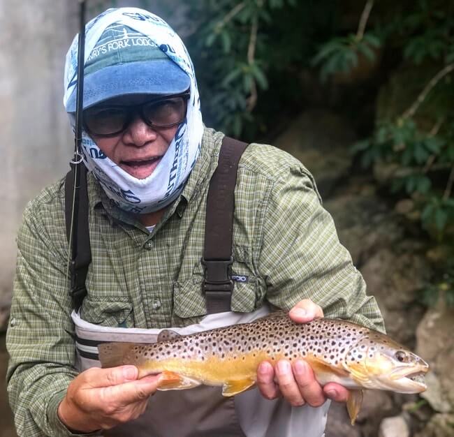 brown trout asheville north carolina fly fish