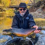 brown trout biltmore park