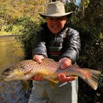 wild brown trout mills river nc