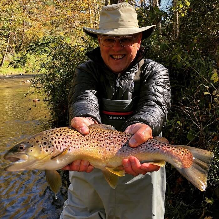 wild brown trout mills river nc