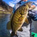 smallmouth guide nolichucky river