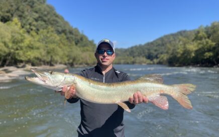 musky fishing in brevard nc