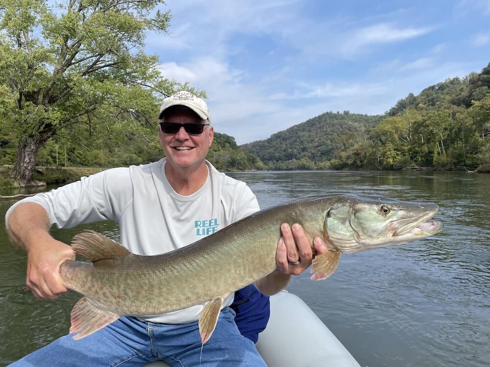 musky fishing french broad rivermin Southern Appalachian Anglers