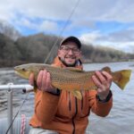 brown trout in Asheville