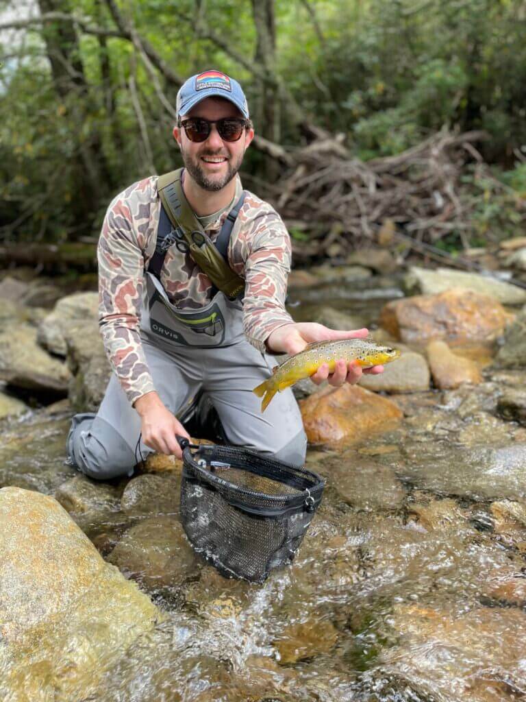 wild brown trout south toe river, Asheville NC